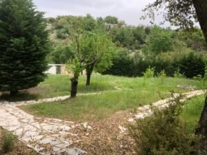 whatsapp image 2025 12 22 at 09.21.17 (6)