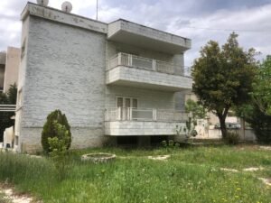 whatsapp image 2025 12 22 at 09.21.17 (7)