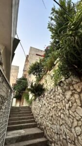 whatsapp image 2025 12 27 at 18.40.36 (1)