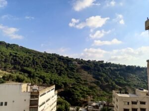 whatsapp image 2025 12 27 at 18.40.36 (2)