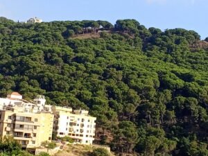 whatsapp image 2025 12 27 at 18.40.36 (4)