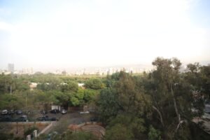 whatsapp image 2026 01 01 at 15.28.19 (6)