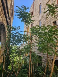 whatsapp image 2026 02 05